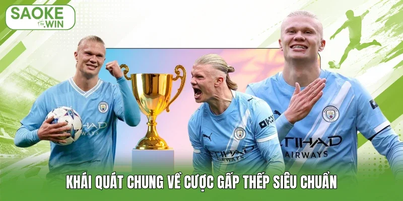 Khái quát chung về cược gấp thếp siêu chuẩn
