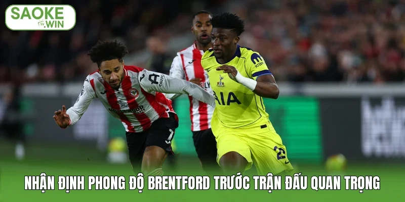 Nhận định phong độ Brentford trước trận đấu quan trọng