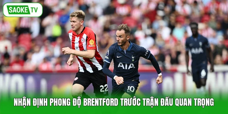 Nhận định phong độ Brentford trước trận đấu quan trọng