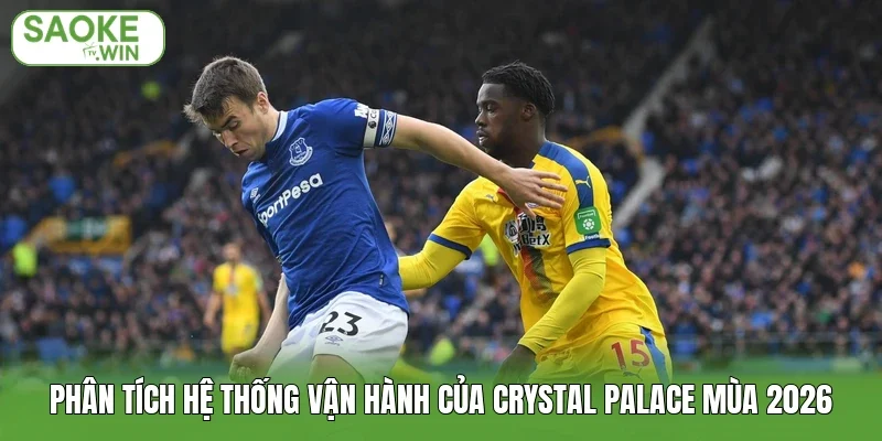 Phân tích hệ thống vận hành của Crystal Palace mùa 2026