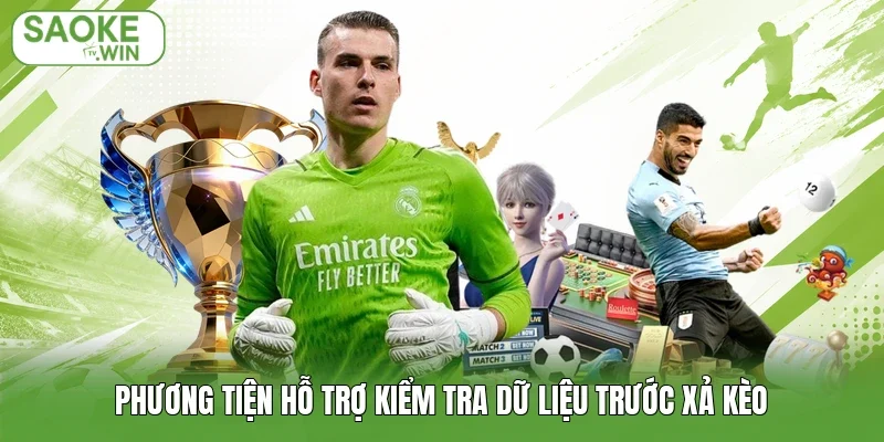Phương tiện hỗ trợ kiểm tra dữ liệu trước xả kèo