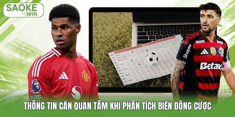Thông tin cần quan tâm khi phân tích biến động cược