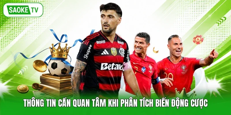 Thông tin cần quan tâm khi phân tích biến động cược