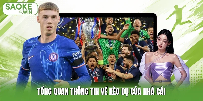 Tổng quan thông tin về kèo dụ của nhà cái